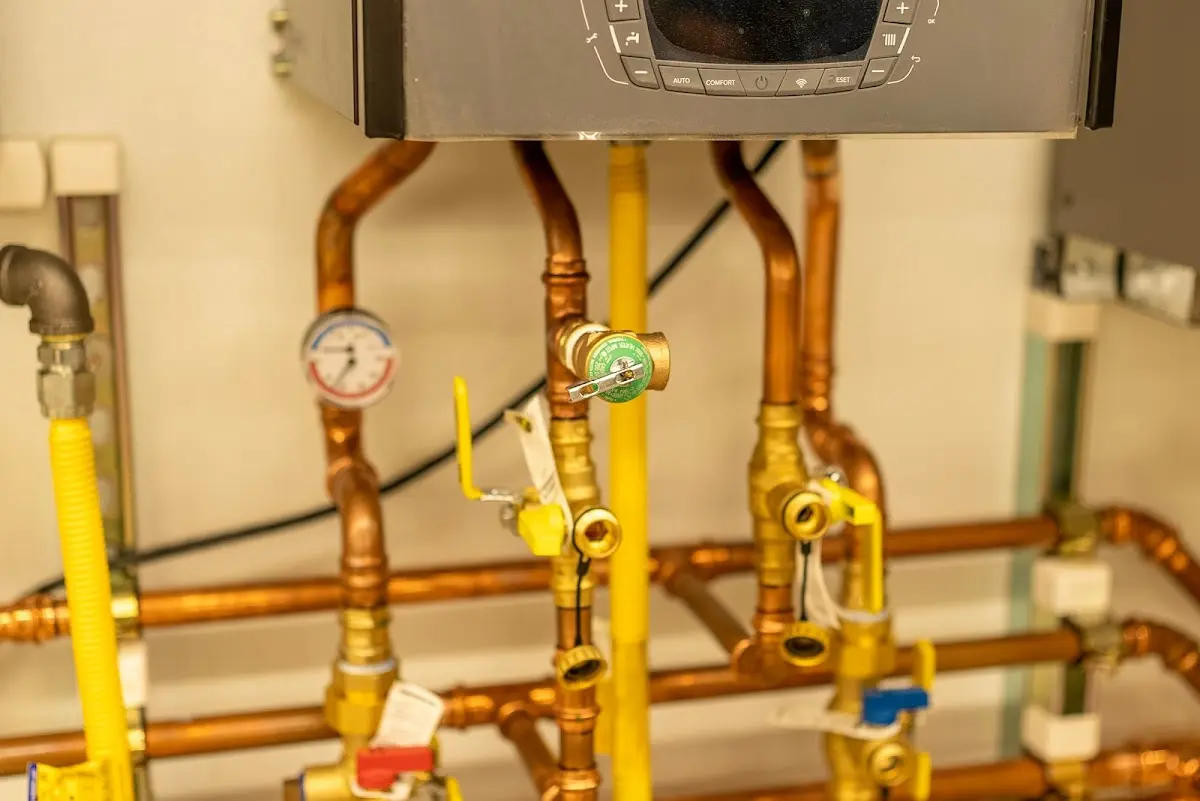 Licensed technician providing Emergency Plumbing for a homeowner in Scriba